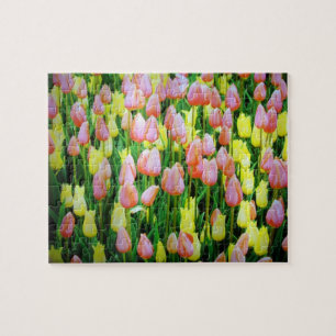 Puzzle tulipes