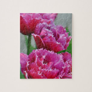 Puzzle Tulipes à perroquets roses