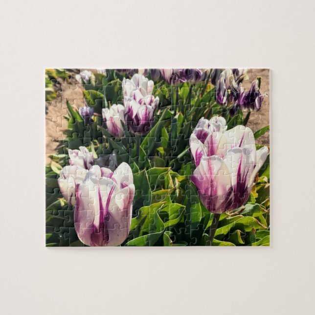 Puzzle Tulipes à rayures blanches et violettes (Horizontal)