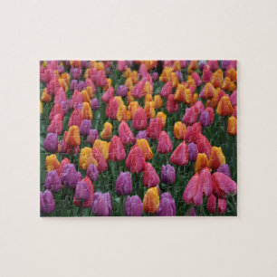 Puzzle Tulipes à ressort colorées