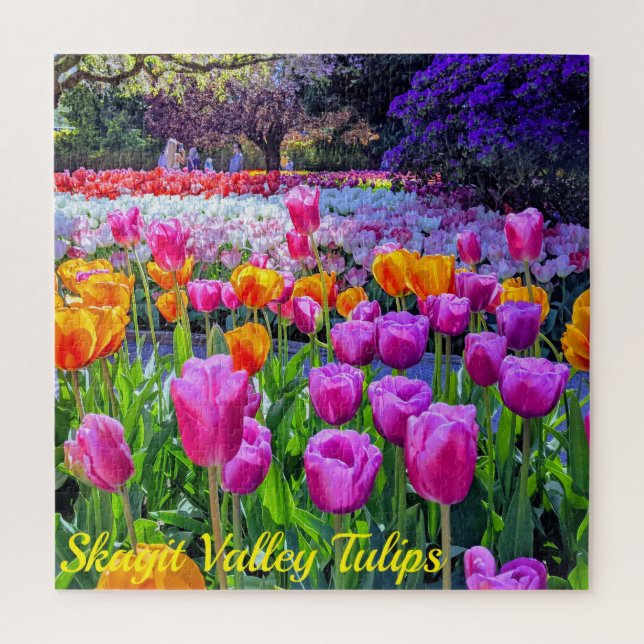 Puzzle Tulipes de la vallée Skagit (Vertical)