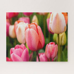 Puzzle Tulipes de printemps