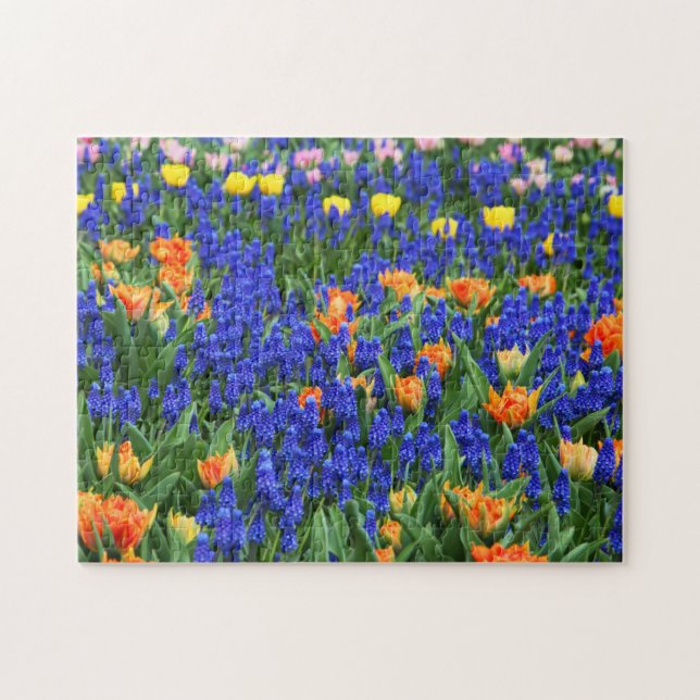 Puzzle Tulipes Graphe Hyacinth Flower Field coloré (Horizontal)