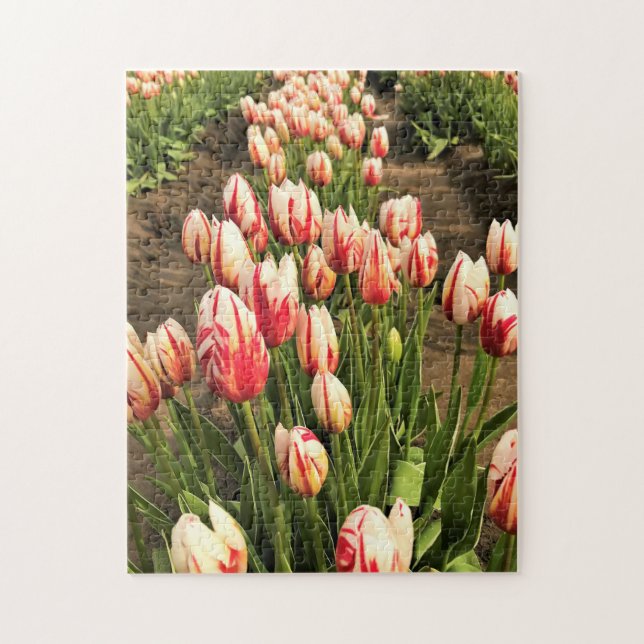 Puzzle Tulipes Happy Generation (Vertical)