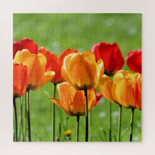Puzzle Tulipes Jaunes Et Rouges