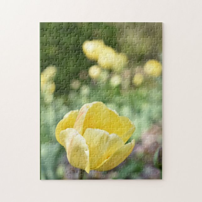 Puzzle Tulipes jaunes Regent's Park Flowers Londres Angle (Vertical)