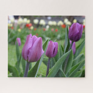 Puzzle Tulipes pourpres
