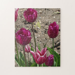 Puzzle Tulipes pourpres