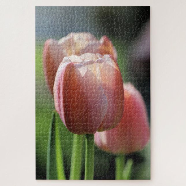 Puzzle Tulipes roses (Vertical)