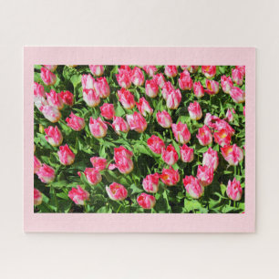 Puzzle Tulipes roses