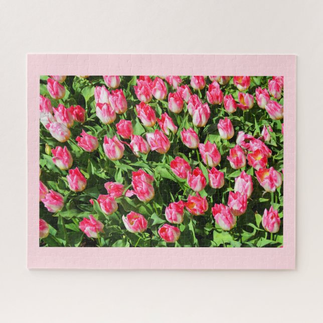 Puzzle Tulipes roses (Horizontal)