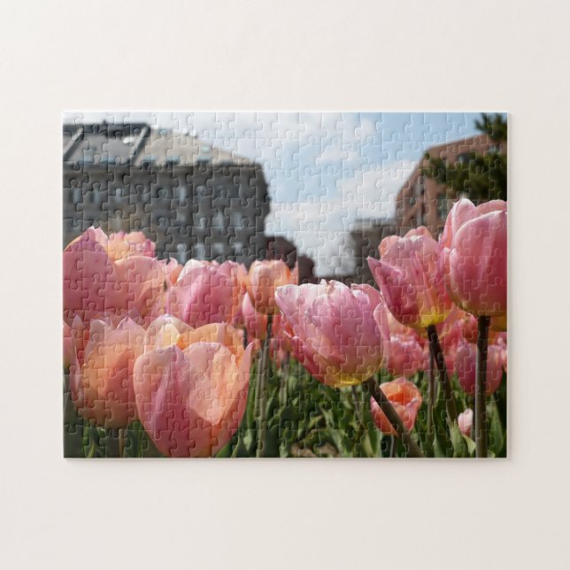 Puzzle Tulipes roses dans le North End de Boston (Horizontal)