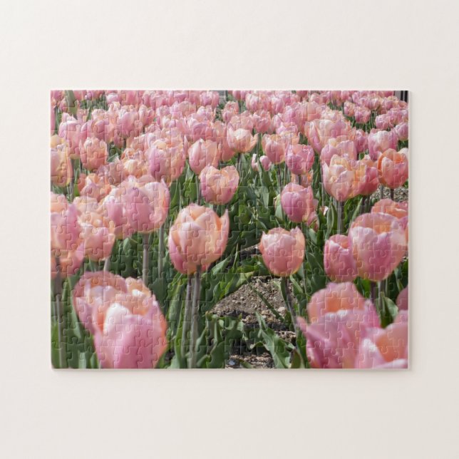Puzzle Tulipes roses embrassées par le soleil (Horizontal)