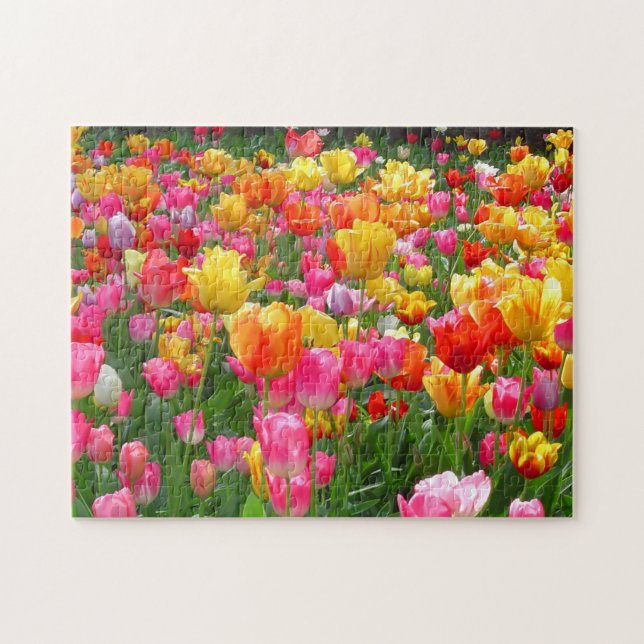 Puzzle Tulipes roses jaunes de rouge orange (Horizontal)