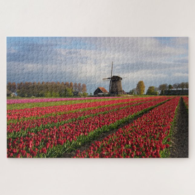 Puzzle Tulipes rouges et un moulin à vent au printemps (Horizontal)