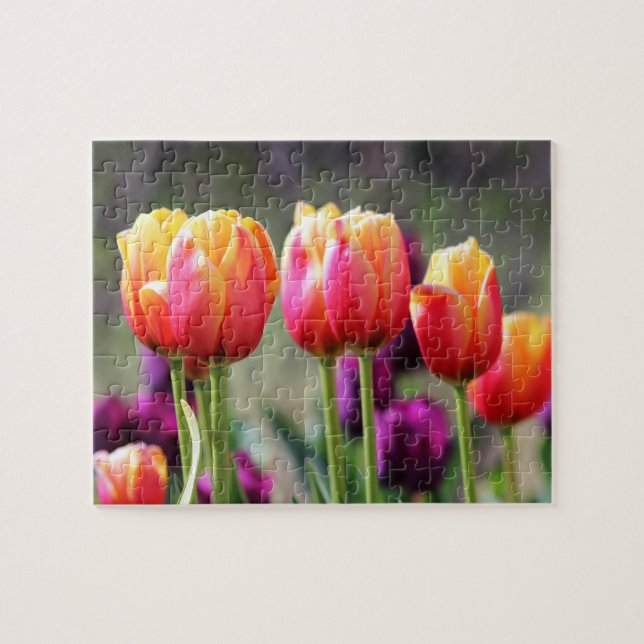 Puzzle Tulipes tombées flammes (Horizontal)
