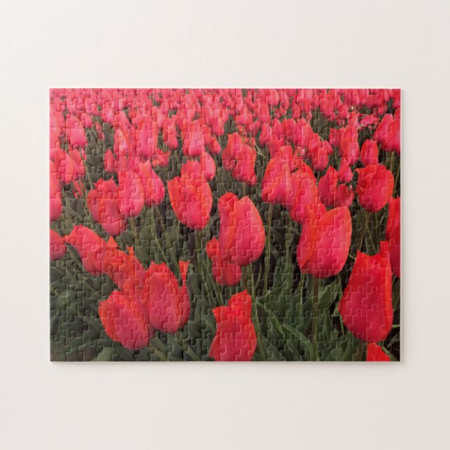 Puzzle Tulips Coral Pink (Horizontal)