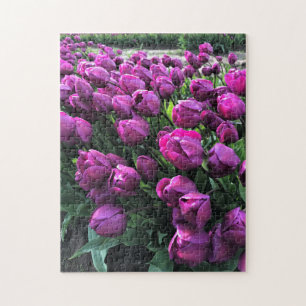 Puzzle Tulips de Purple