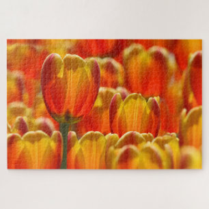 Puzzle TULIPS D'ÉCLAIRAGE 20x30 POUCES