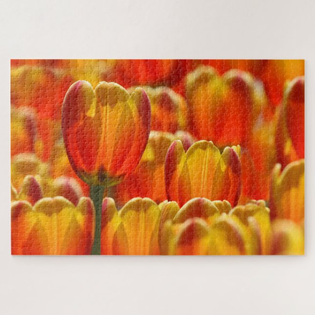 Puzzle TULIPS D'ÉCLAIRAGE 20x30 POUCES (Horizontal)