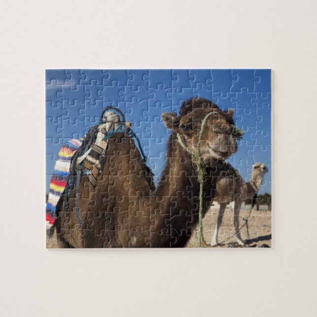 Puzzle Tunisie, désert du Sahara, Douz, Zone Touristique, (Horizontal)