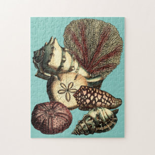Puzzle Turquoise Shell et collection de corail rouge