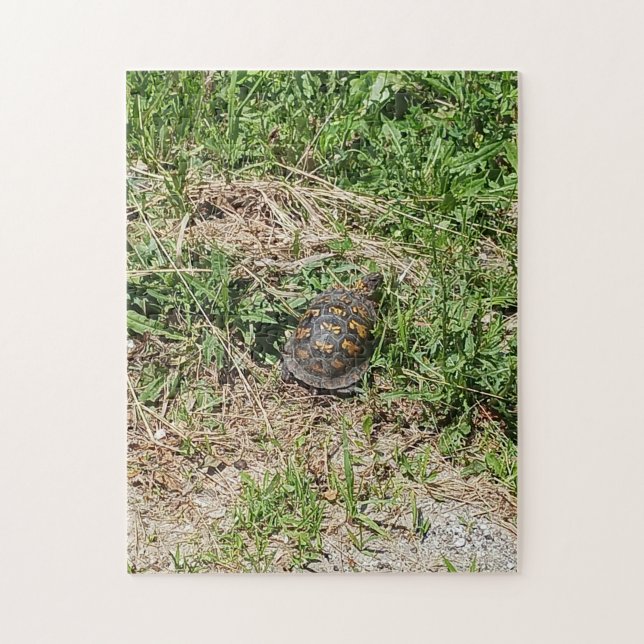 Puzzle Turtle (Vertical)