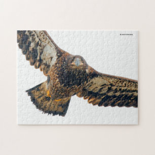 Puzzle Un aigle à tête blanche étonnant fait un survol