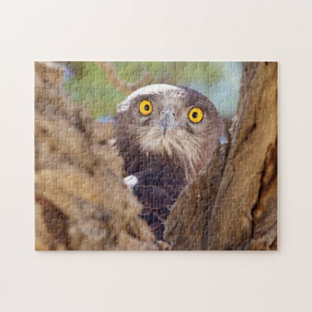 Puzzle Un Aigle serpentaire à poitrine blanche (Horizontal)