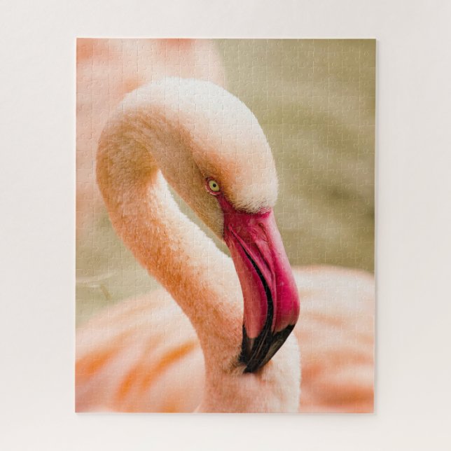 Puzzle Un Beau Flamant rose Rose (Vertical)