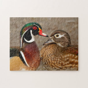 Puzzle Un beau moment touchant entre canards branchus