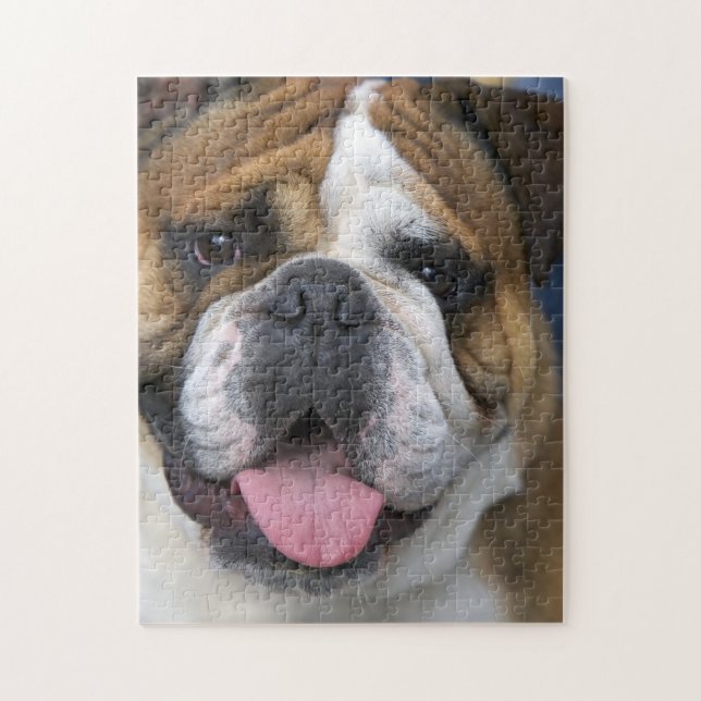 Puzzle Un bouledogue anglais en Belgique (Vertical)