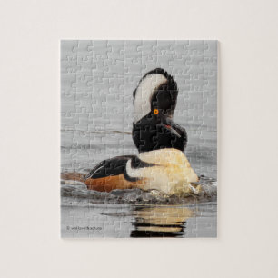 Puzzle Un canard Merganser Surpris