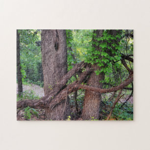 Puzzle Un casse-tête naturel amusant pour un arbre