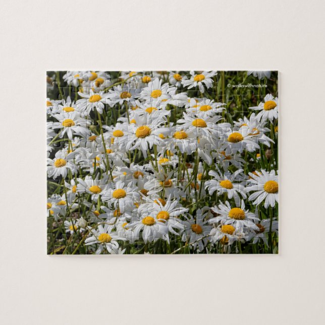 Puzzle Un champ de marguerites oculaires (Horizontal)