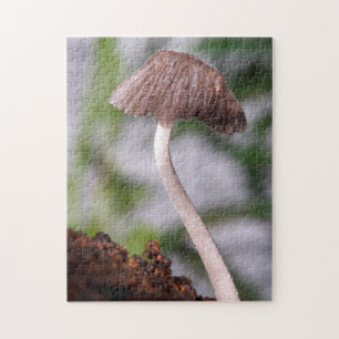Puzzle Un champignon