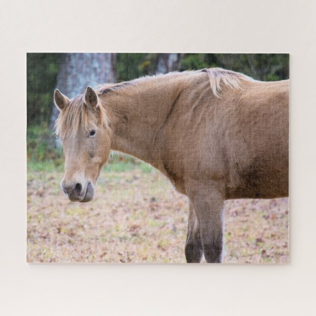 Puzzle Un cheval est un cheval de course - 16x20 pouces (Horizontal)