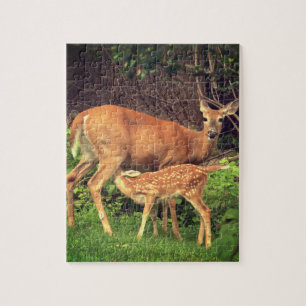 Puzzle Un doe et son père