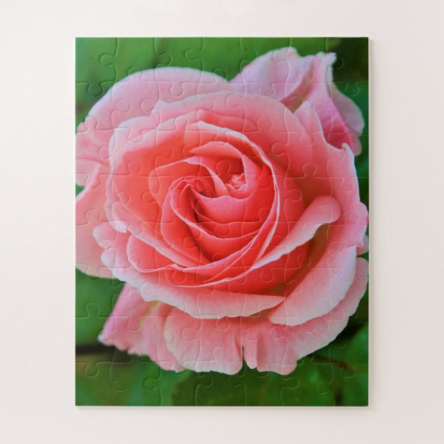 Puzzle Un Grand Rose Simple Rose Rose Rose Élevé (Vertical)