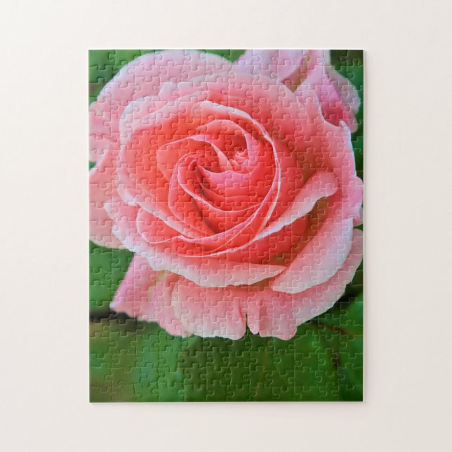 Puzzle Un Grand Rose Simple Rose Rose Rose Élevé (Vertical)