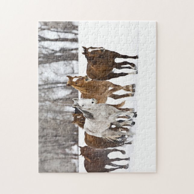 Puzzle Un hiver pittoresque de course (Vertical)