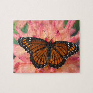 Puzzle Un imitateur du monarque papillon