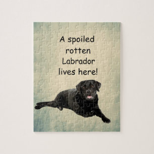 Puzzle Un Labrador Tourbé Mal Vit Ici