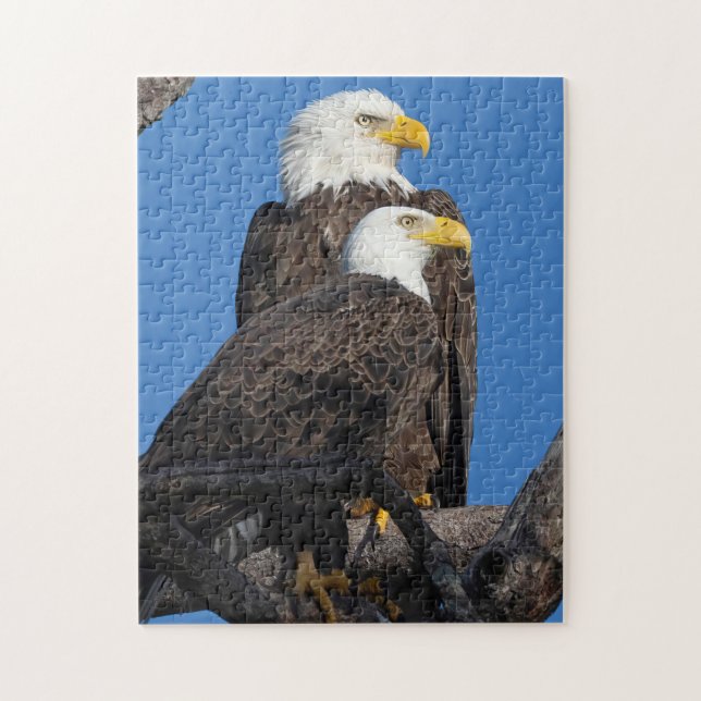 Puzzle Un nouveau couple dans le nid- M15 & F23 (Vertical)