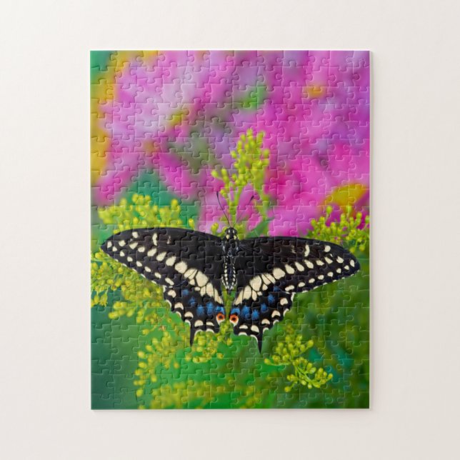 Puzzle Un papillon Machaon se pose (Vertical)