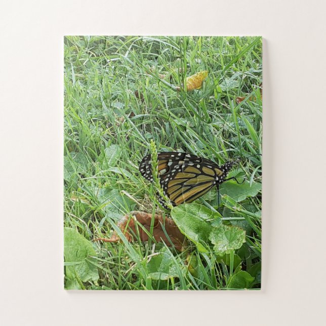 Puzzle Un papillon monarque (Vertical)