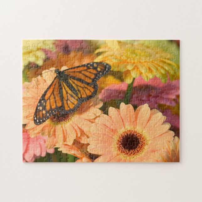 Puzzle Un papillon Morio (Horizontal)