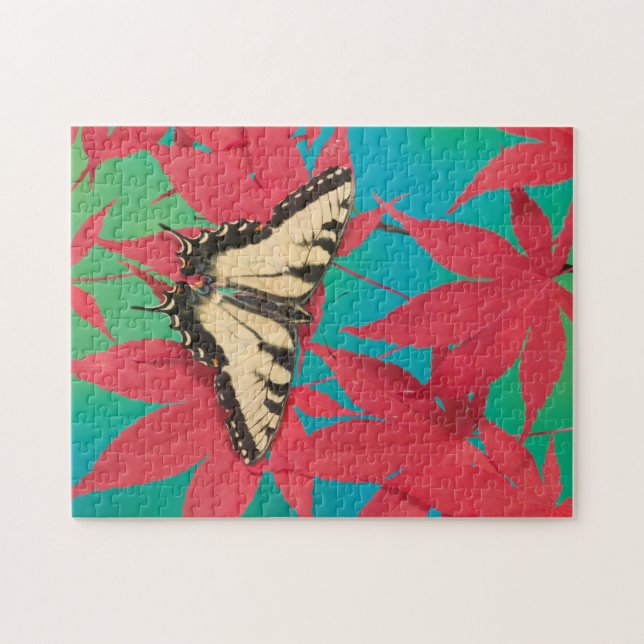 Puzzle Un papillon Papilio canadensis (Horizontal)