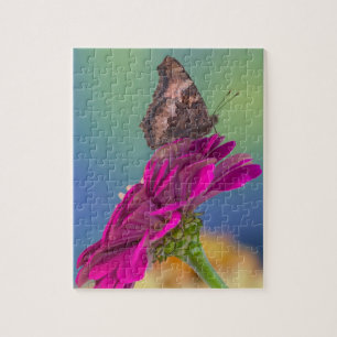 Puzzle Un papillon Papilio Multicaudatus