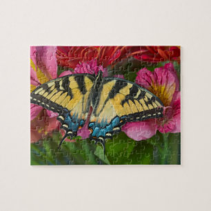 Puzzle Un papillon swallowtail tigré
